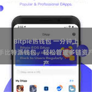 Bitpie热钱包 一分钟上手比特派钱包，轻松管理多链资产