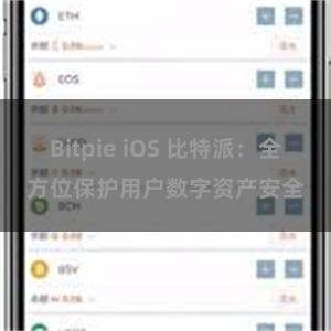 Bitpie iOS 比特派：全方位保护用户数字资产安全