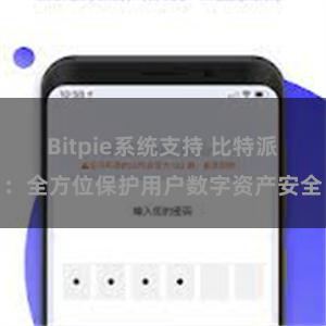 Bitpie系统支持 比特派：全方位保护用户数字资产安全