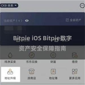 Bitpie iOS Bitpie数字资产安全保障指南