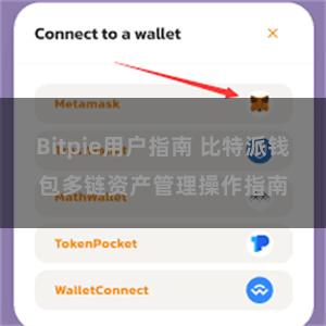 Bitpie用户指南 比特派钱包多链资产管理操作指南