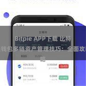 Bitpie APP下载 比特派钱包多链资产管理技巧：全面攻略