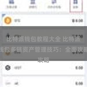 比特派钱包教程大全 比特派钱包多链资产管理技巧：全面攻略