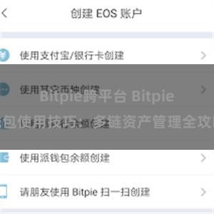 Bitpie跨平台 Bitpie钱包使用技巧：多链资产管理全攻略