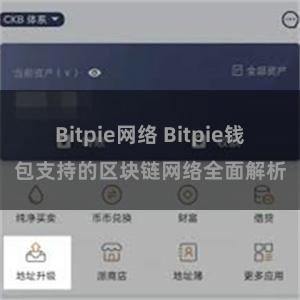 Bitpie网络 Bitpie钱包支持的区块链网络全面解析