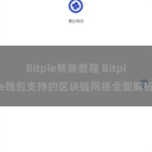 Bitpie转账教程 Bitpie钱包支持的区块链网络全面解析