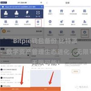 Bitpie钱包备份 比特派钱包：数字资产管理生态进化，无限可能！