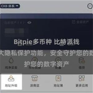 Bitpie多币种 比特派钱包：强大隐私保护功能，安全守护您的数字资产