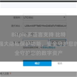 Bitpie多语言支持 比特派钱包：强大隐私保护功能，安全守护您的数字资产