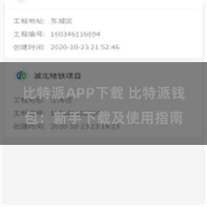 比特派APP下载 比特派钱包：新手下载及使用指南