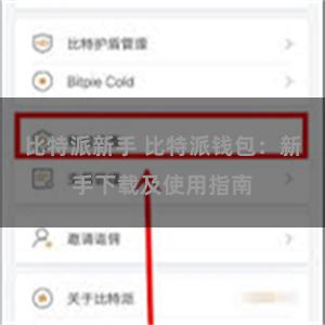 比特派新手 比特派钱包：新手下载及使用指南