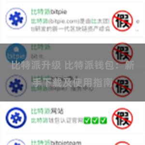 比特派升级 比特派钱包：新手下载及使用指南