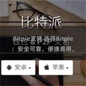 Bitpie支持 选择Bitpie：安全可靠，便捷易用。