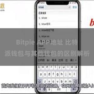 Bitpie APP地址 比特派钱包与其他钱包的区别解析