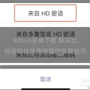 Bitpie安卓下载 解决比特派钱包使用问题的实用技巧