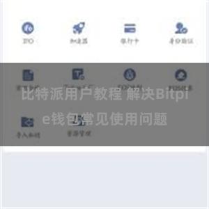 比特派用户教程 解决Bitpie钱包常见使用问题