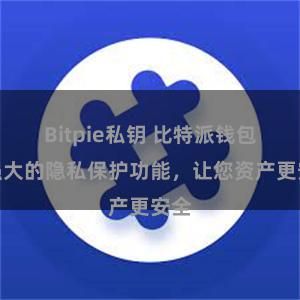 Bitpie私钥 比特派钱包：强大的隐私保护功能，让您资产更安全