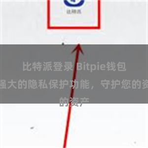 比特派登录 Bitpie钱包：强大的隐私保护功能，守护您的资产