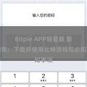 Bitpie APP轻量版 新手指南：下载并使用比特派钱包必知事项