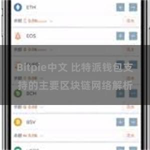 Bitpie中文 比特派钱包支持的主要区块链网络解析