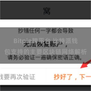 Bitpie跨平台 比特派钱包支持的主要区块链网络解析