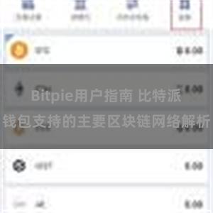 Bitpie用户指南 比特派钱包支持的主要区块链网络解析