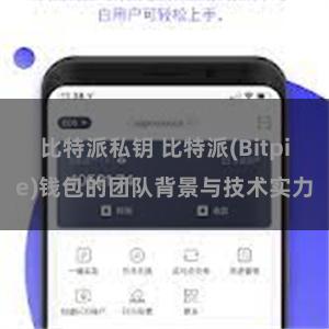 比特派私钥 比特派(Bitpie)钱包的团队背景与技术实力