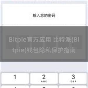 Bitpie官方应用 比特派(Bitpie)钱包隐私保护指南