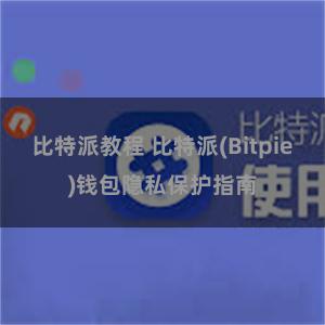 比特派教程 比特派(Bitpie)钱包隐私保护指南