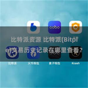 比特派资源 比特派(Bitpie)交易历史记录在哪里查看？