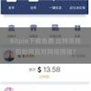 Bitpie下载免费 比特派钱包如何应对网络拥堵？