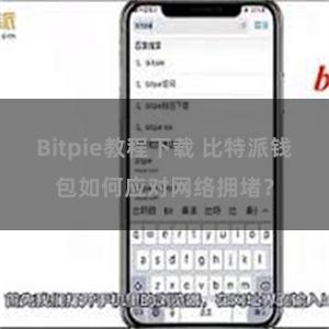 Bitpie教程下载 比特派钱包如何应对网络拥堵？