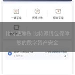 比特派隐私 比特派钱包保障您的数字资产安全