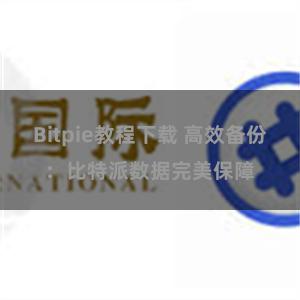 Bitpie教程下载 高效备份：比特派数据完美保障