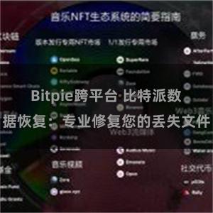 Bitpie跨平台 比特派数据恢复：专业修复您的丢失文件